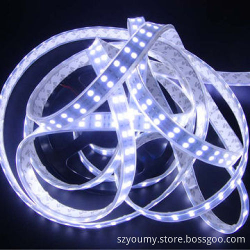 SMD 5050 Double Row 600 LED 120 LEDs/m Cool White LED Strip Light, Waterproof IP67